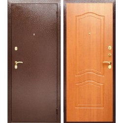Дверь Аргус ДА-2